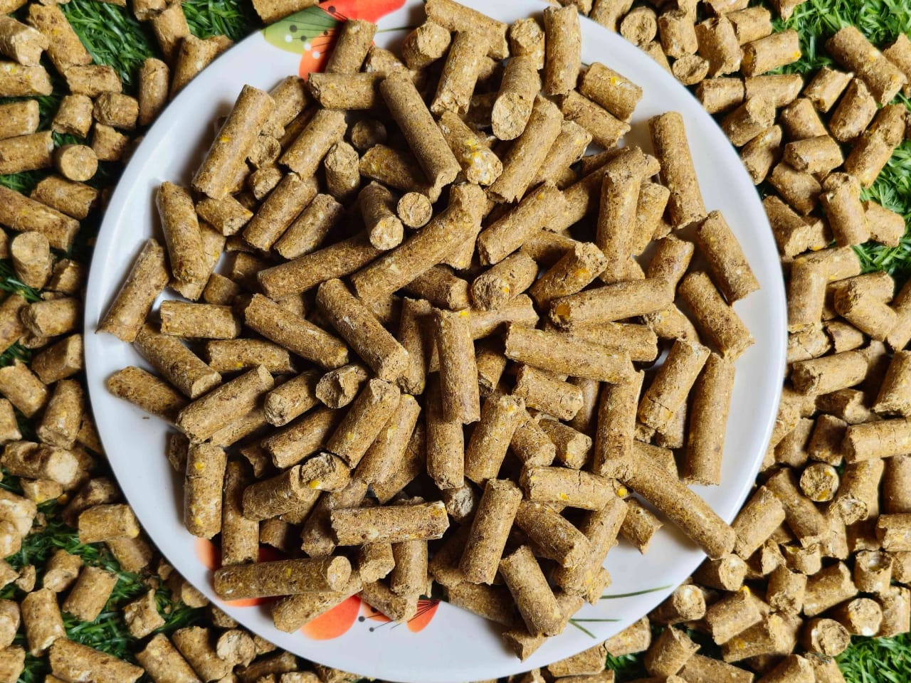 PROTON CATTLE FEED 1