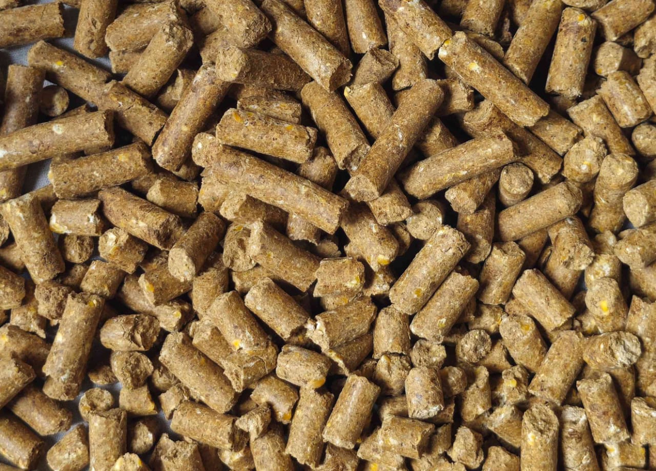 PROTON CATTLE FEED 2