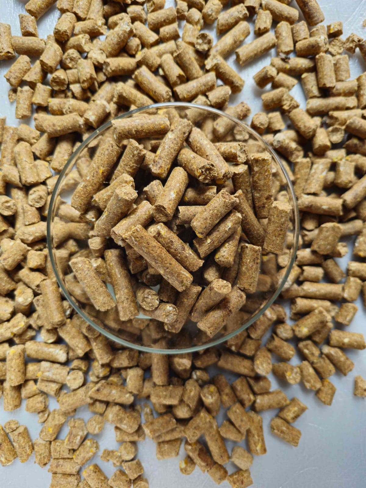 DOODH MISHRI COMPOUND CATTLE FEED 2