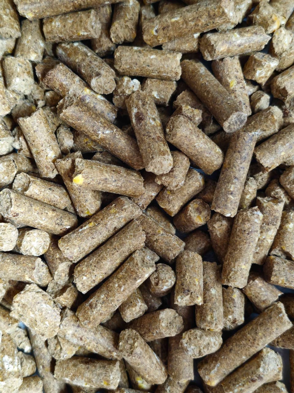 DOODH MISHRI COMPOUND CATTLE FEED 3